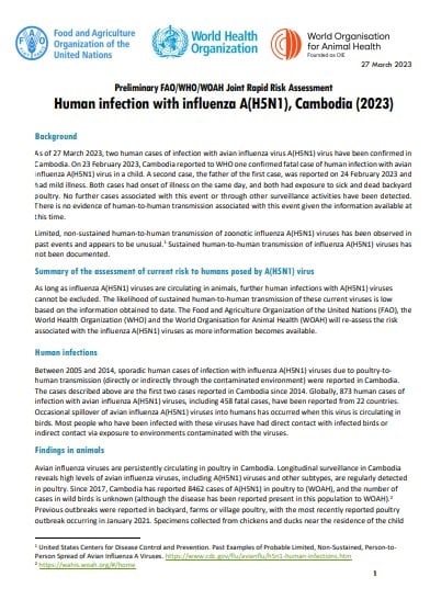 Preliminary FAO/WHO/WOAH Joint Rapid Risk Assessment - Human infection with influenza A(H5N1), Cambodia (2023)
