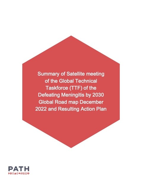 Summary of Satellite meeting of the Global Technical Taskforce (TTF) of the Defeating Meningitis by 2030 Global Road map December 2022 and Resulting Action Plan