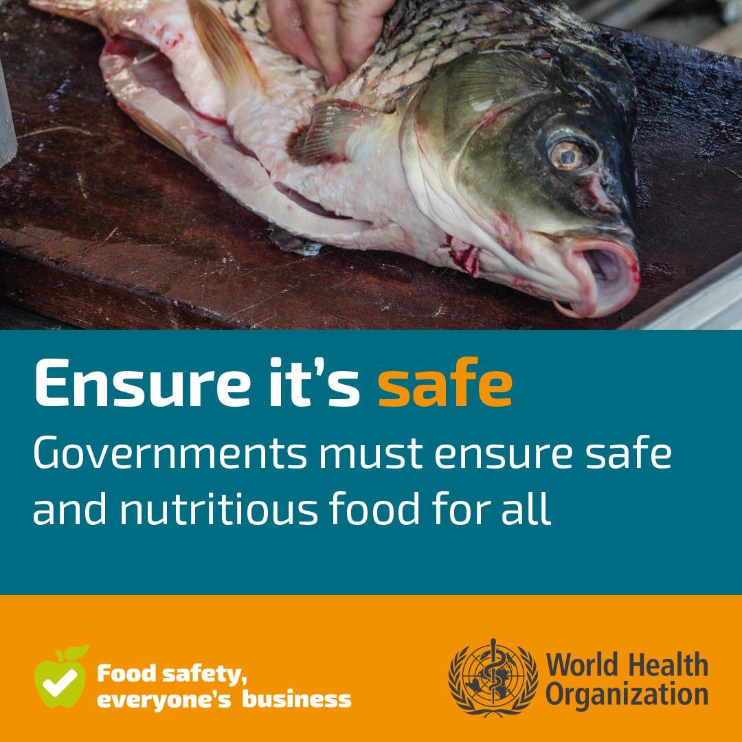 Ensure its safe